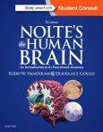 Nolte's Human Brain