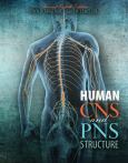 Human Cns & Pns Structure