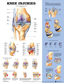 9872 Knee Injuries