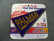 Palmer Mini Felt Pennant Magnet