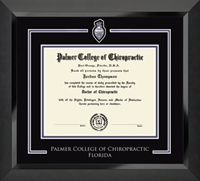 Florida Crest Medallion Spirit Diploma Frame