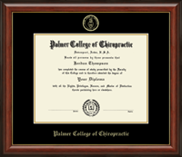 #17 New Gallery Diploma Frame