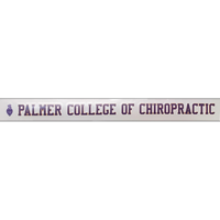 Sds 20" Palmer Purple Sticker