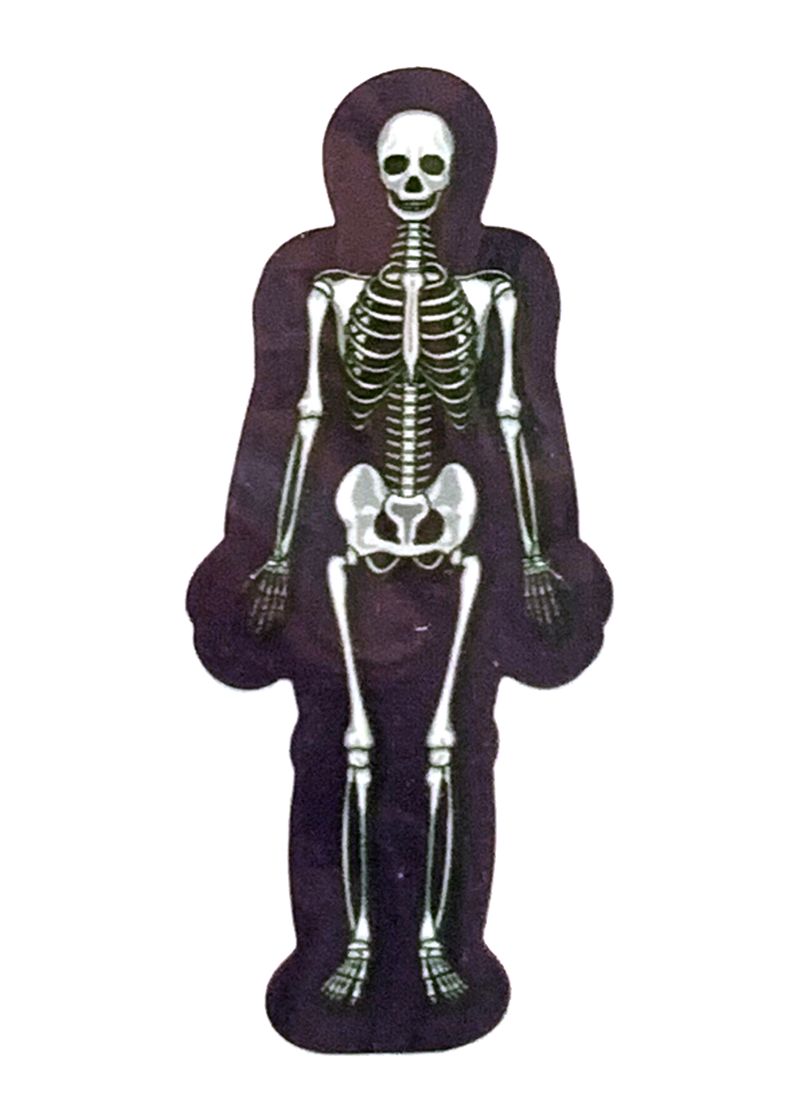 Dizzler - Full Skeleton Only (SKU 10491362199)