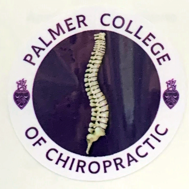 Dizzler - Circle Of Palmer W/ Spine (SKU 10491393199)