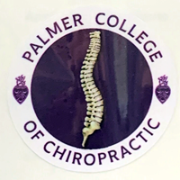 Dizzler - Circle Of Palmer W/ Spine