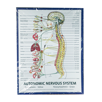 Autonomic Nervous System Tear Sheets