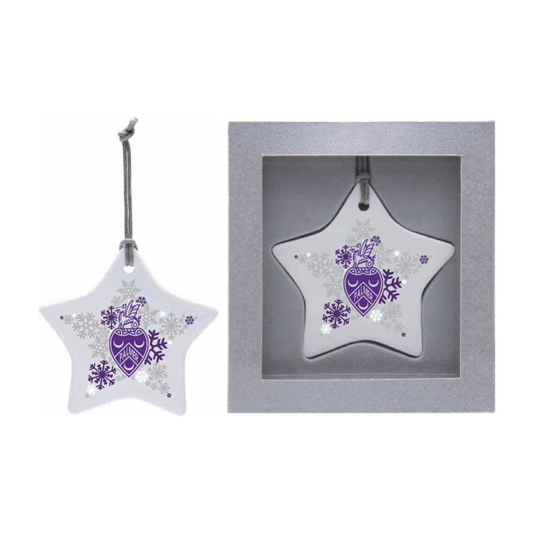 Ceramic Star Ornament (SKU 10458365168)