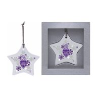 Ceramic Star Ornament