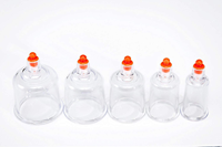 MMT PROFESSIONAL 17 PIECE CUPPING SET W/PUMP