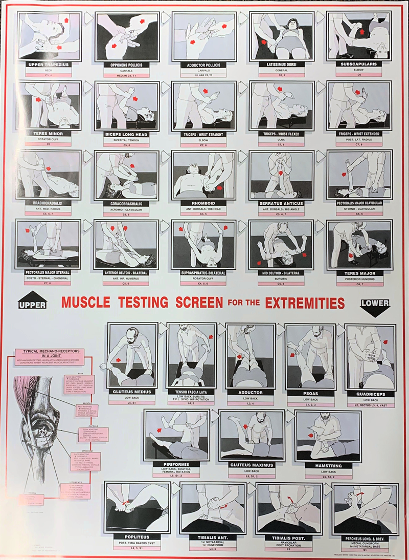 Muscle Testing For The Extremities (SKU 1009610936)