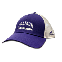 Palmer Adidas Structured Mesh Hat