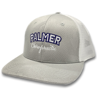 Palmer Trucker Flexfit Hat