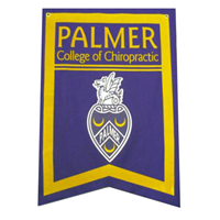 Palmer Felt Banner
