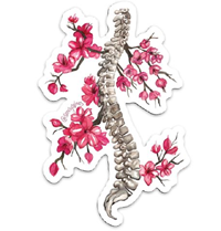 Sandy Spines Cherry Blossom Spine Sticker